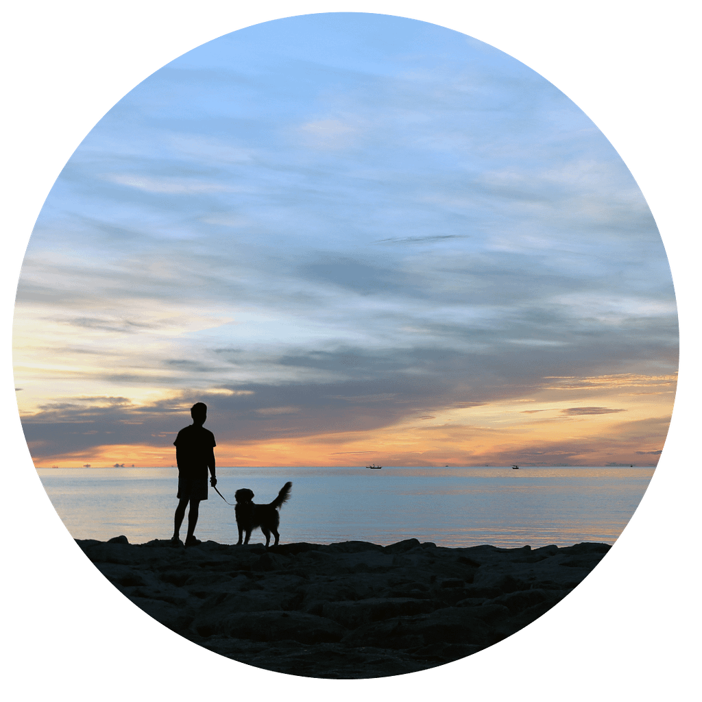 A service dog and owner walk on a Florida beach, silhouetted against a colorful sunset.