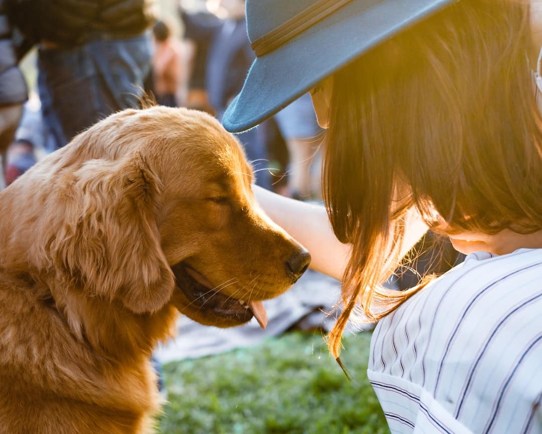 A woman in a hat leans lovingly into the happy face of her service dog.